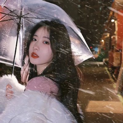 情谜郁金香